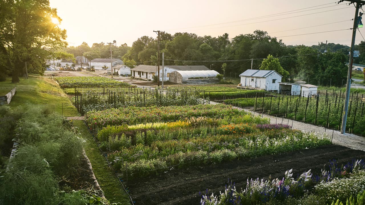 Finley Farms at Sunrise Finley Farms at Sunrise