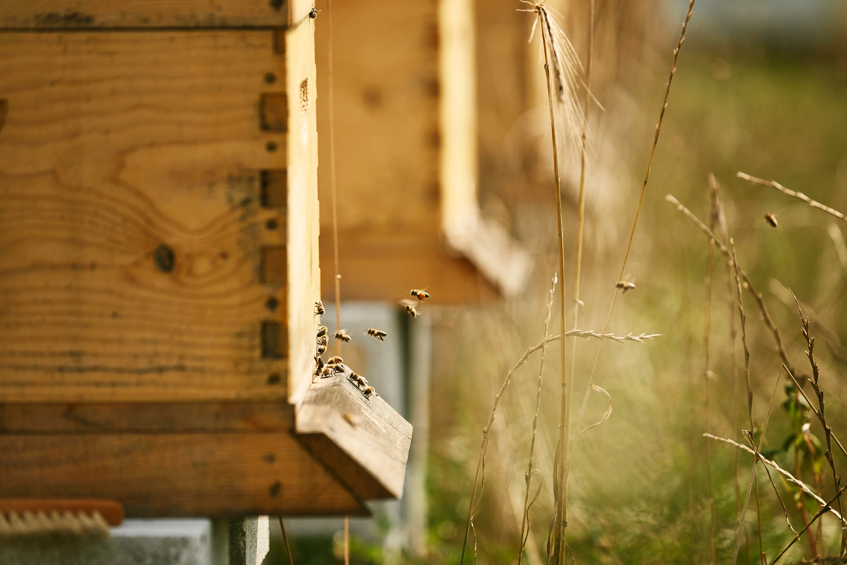 07_14_21-FinleyFarms-147 07_14_21-FinleyFarms-147