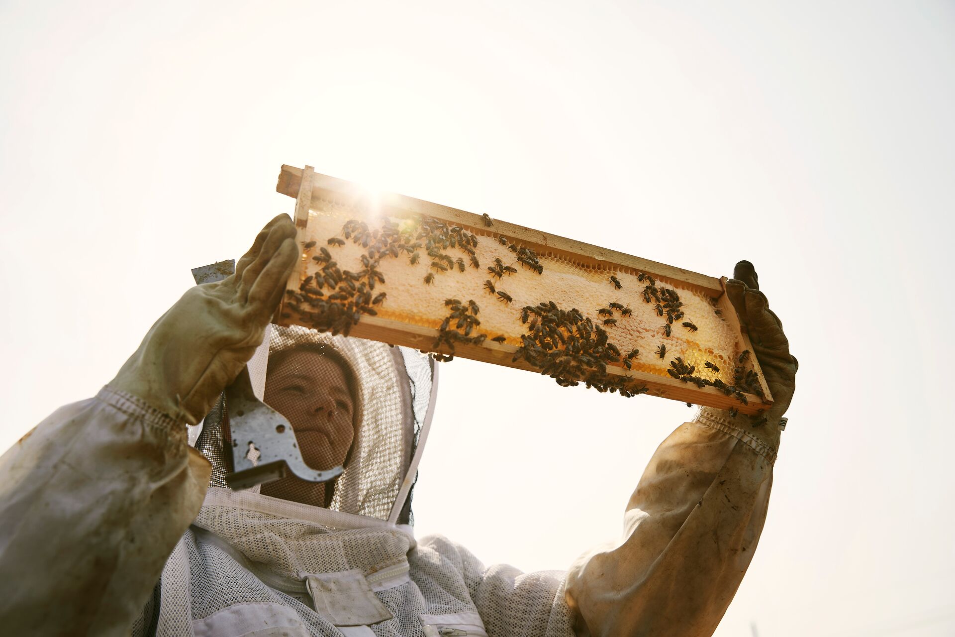 Full HD JPG-2021_FinleyFarms_TheFarm_000229 Full HD JPG-2021_FinleyFarms_TheFarm_000229
