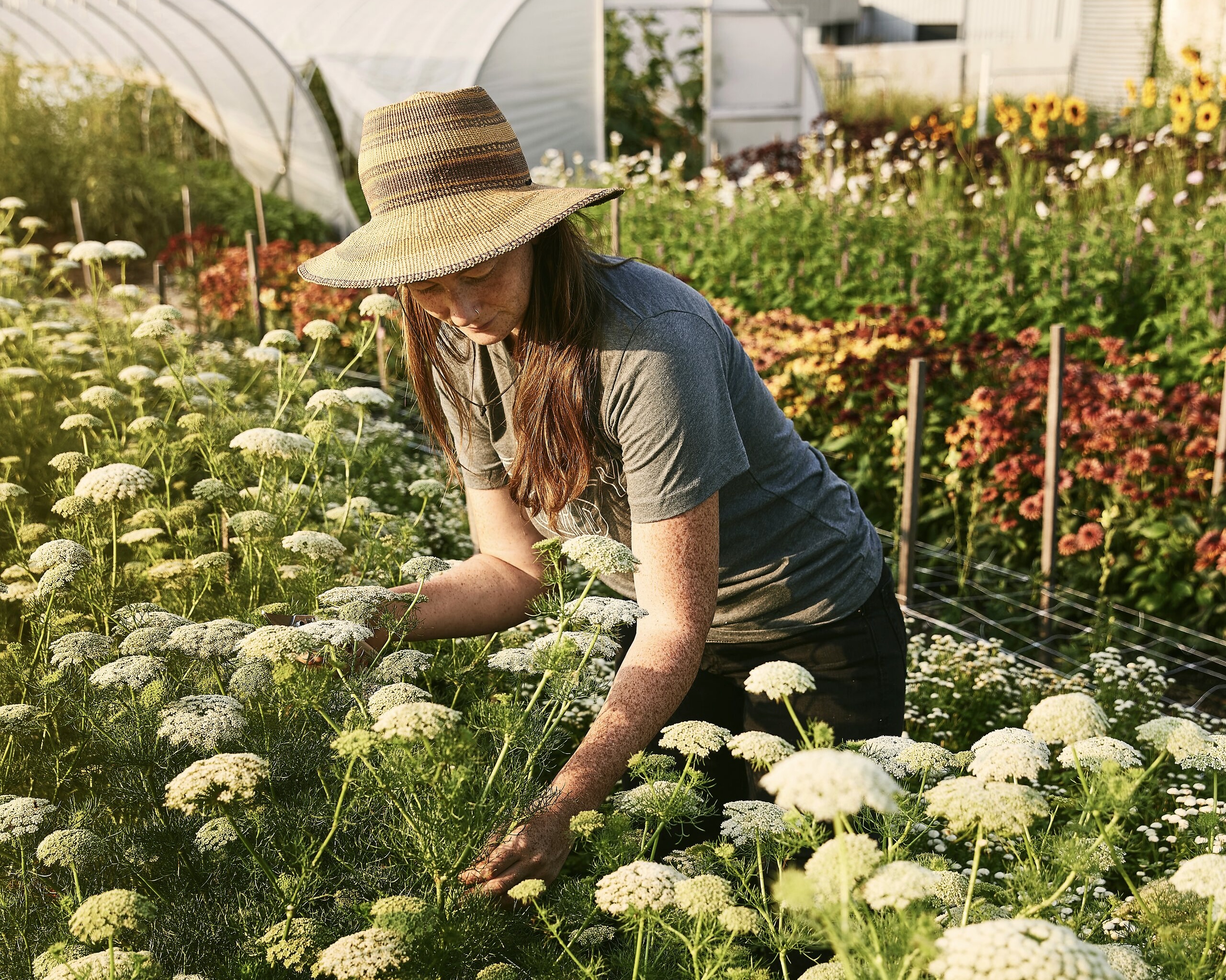 4K Ultra HD JPG-2021_FinleyFarms_TheFarm_00060 4K Ultra HD JPG-2021_FinleyFarms_TheFarm_00060