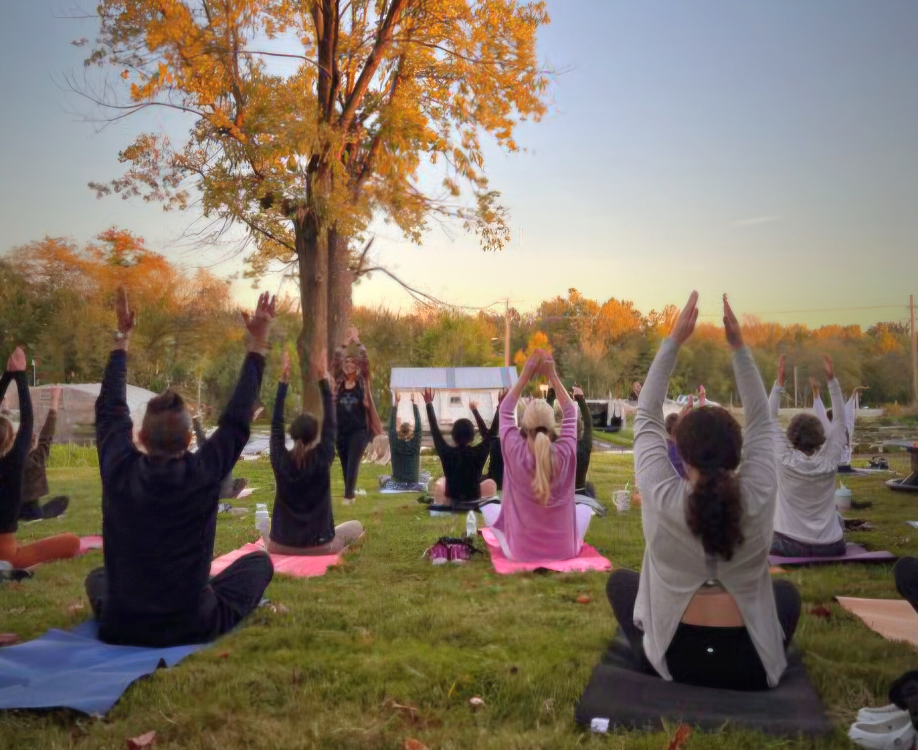 Yoga Flow 1[78]