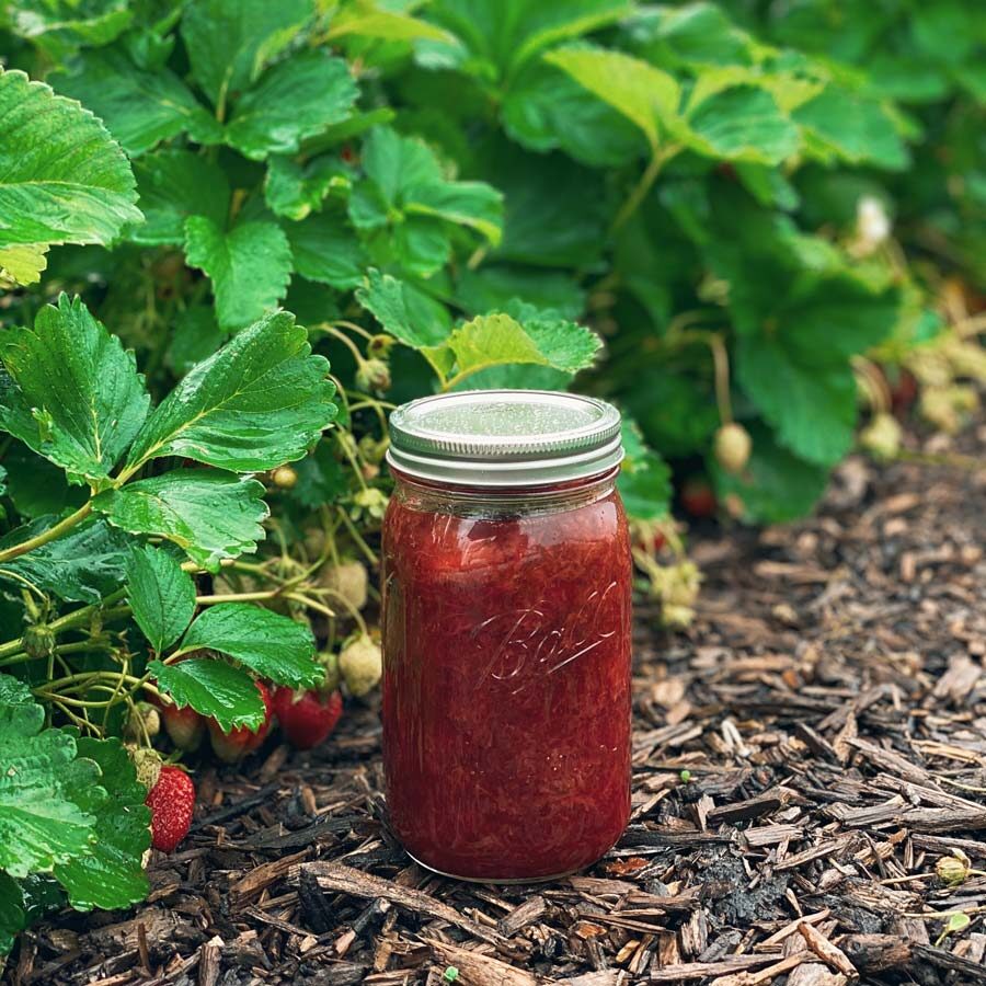 farm-to-table-ozark-missouri-strawberry-jam